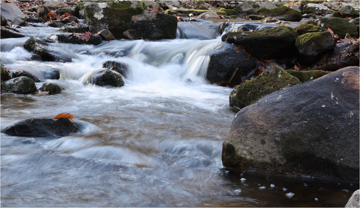 Harriman Creek